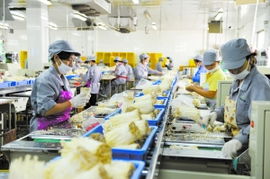 通州借勢打造食用菌產(chǎn)業(yè)帶，構(gòu)筑菌種進(jìn)出口新高地